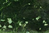 Polished Canadian Jade (Nephrite) Slab #112756-1